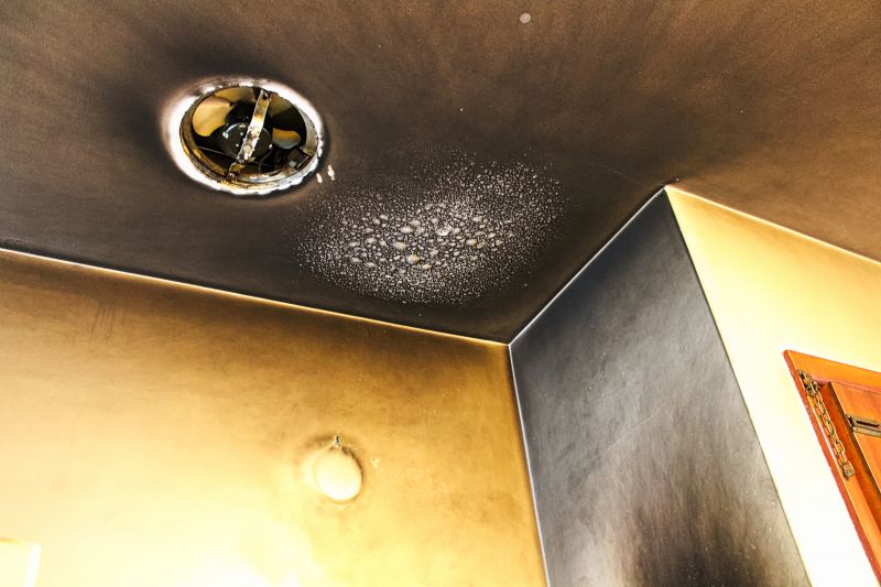 Historical Ceiling Restoration